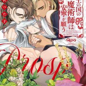 瑞土の国の宮廷魔術師は安寧を願う